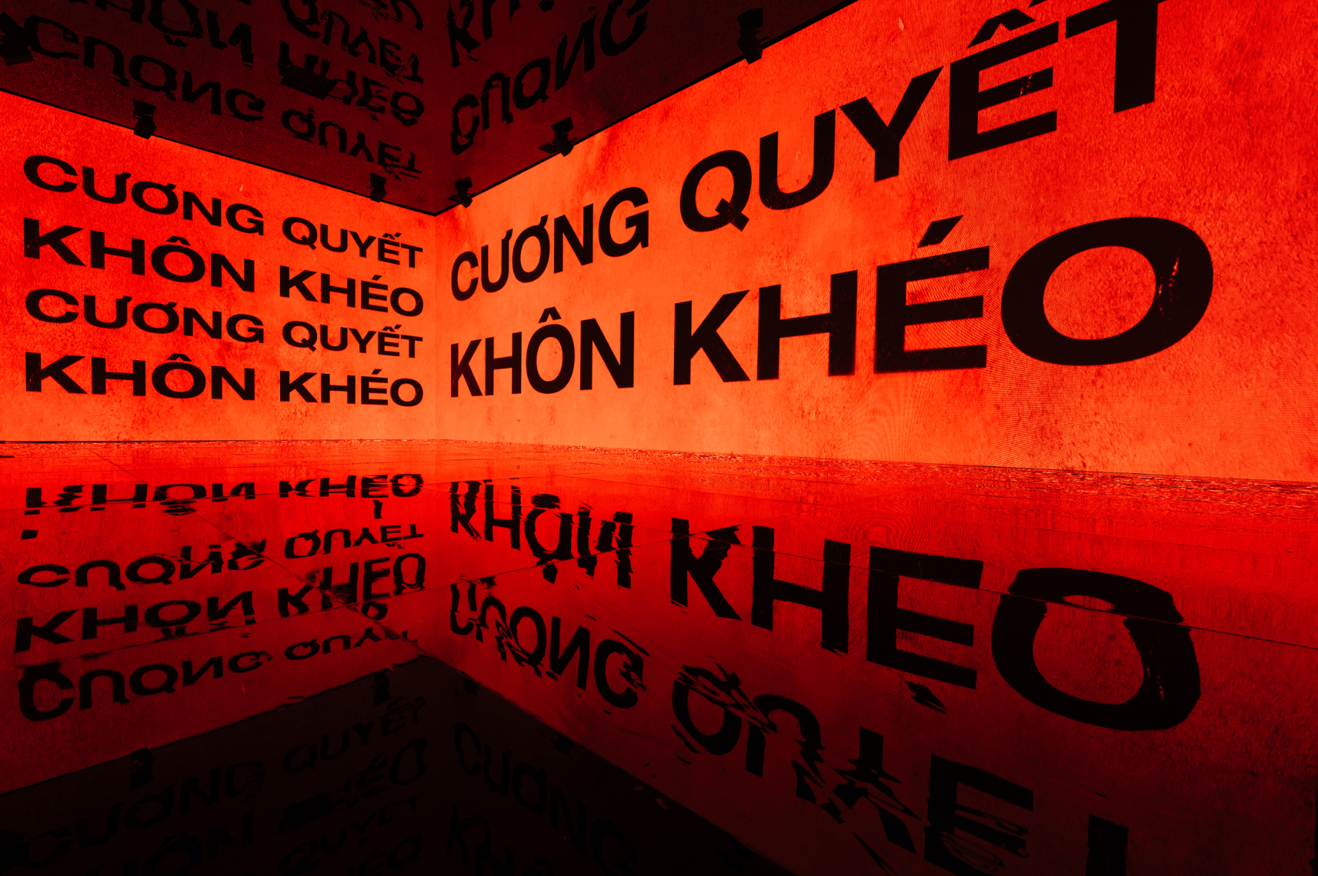 Đa giác quan 1