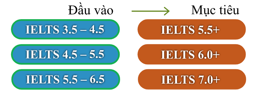 yêu cầu đầu vào trại hè IELTS tại trường pines năm 2023