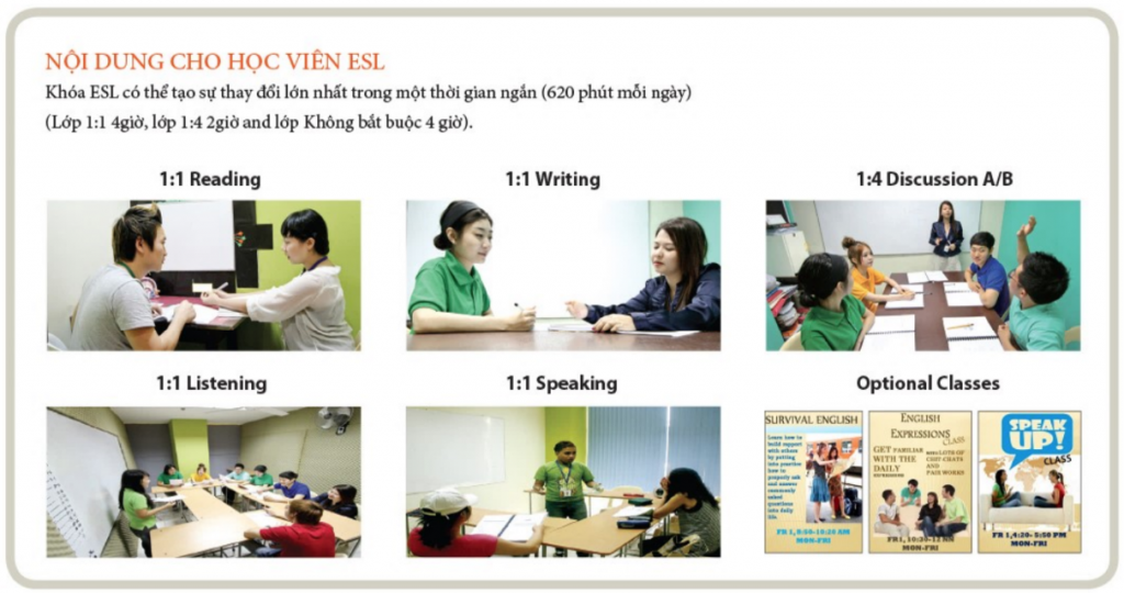 Nội dung học ESL tại SMEAG 