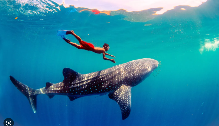 chi phí sinh hoạt tại Cebu, Philippines