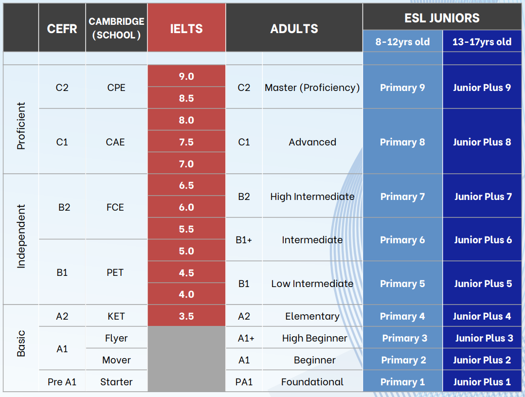 beci khung tham chiếu tiếng anh